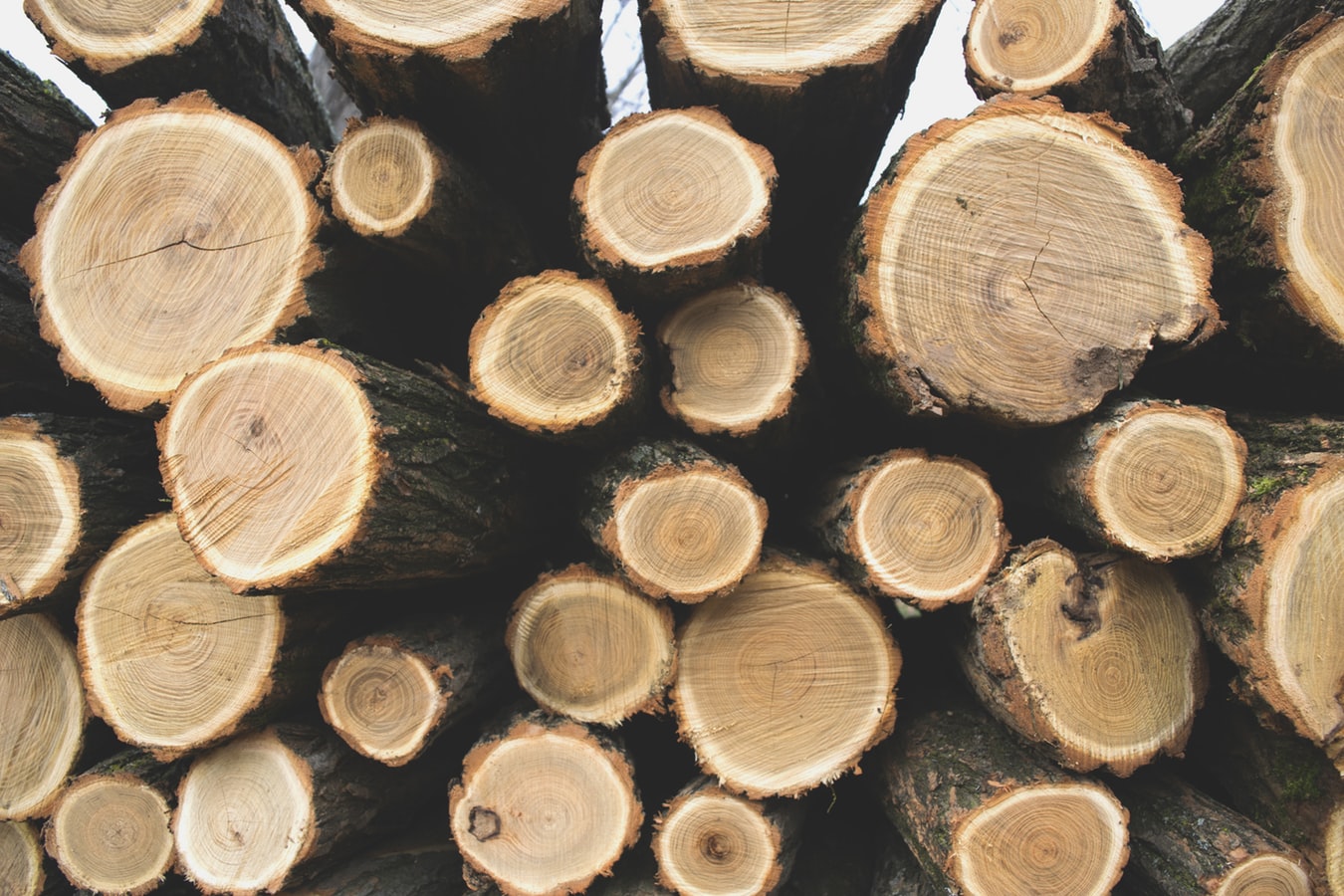 Wood Wood