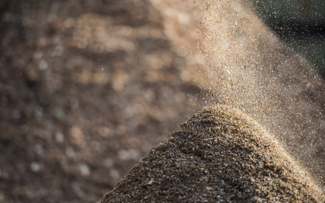 The value of recycling in Sonae Arauco’s sustainability model