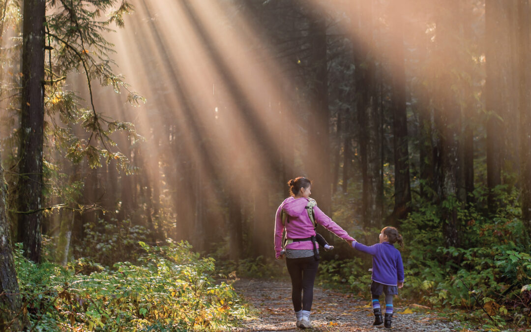 Sonae Arauco’s Green Products Portfolio highlights the need for wood in people’s lives